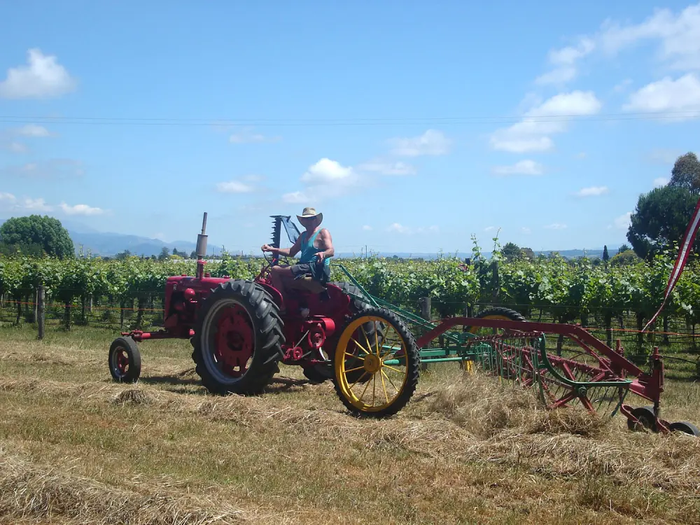 Richmond Plains Pinot Noir 2019