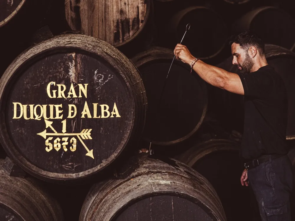 Bodegas Williams & Humbert Alegria Manzanilla