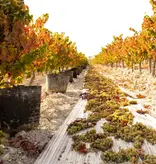 Bodegas Williams & Humbert 'Don Zoilo' Palo Cortado en Rama 15 Años