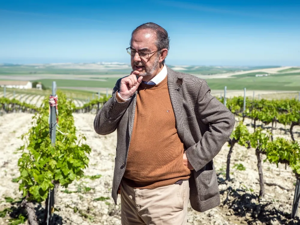 Bodegas Williams & Humbert 'Don Zoilo' Oloroso en Rama 15 Años