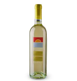 WEEKAANBIEDING | Vinicola Palamà Albarossa Verdeca Bianco 2024