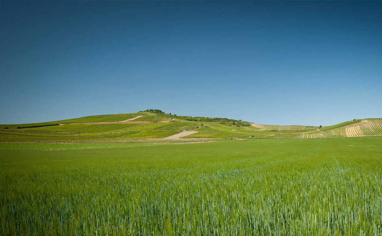 Becker Landgraf J2 Spätburgunder Herrgottspfad 2016