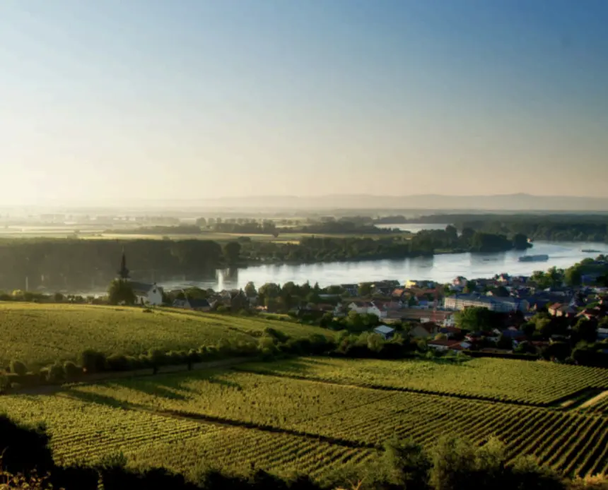 Weingut Georg Gustav Huff Spätburgunder Trocken 2022