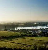 Weingut Georg Gustav Huff Riesling Spätlese 2024