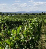 Le Morette Bardolino  Classico DOC 2024