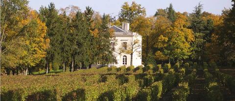 Louis de Grenelle Rose 'Si Irresistible' - MAGNUM