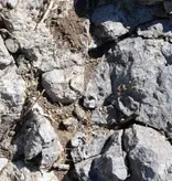 Cavazza - Creari - Gambellara Classico DOC 2023