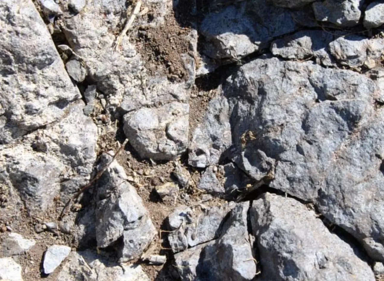 Cavazza - Creari - Gambellara Classico DOC 2023