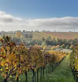 Jacob Duijn Wollmesheimer Mütterle Pinot Noir 2024