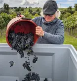 Jacob Duijn Venusbuckel Billigheim Chardonnay 2024