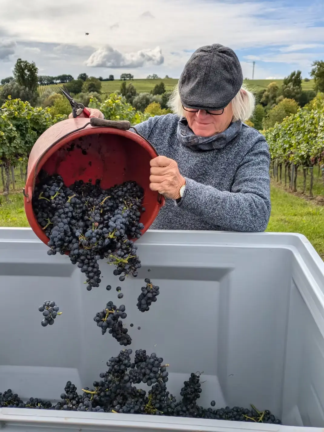Jacob Duijn Venusbuckel Billigheim Chardonnay 2024