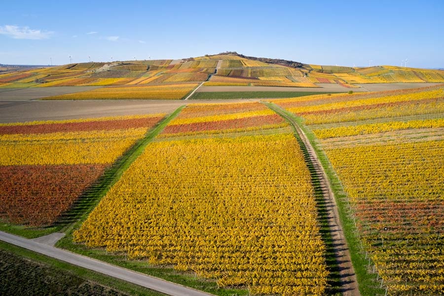 Weingut Becker Landgraf J2 Riesling Herrgottspfad 2019 - MAGNUM