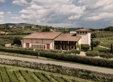 Cesari