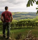 Cesari Soave DOC Classico 2024