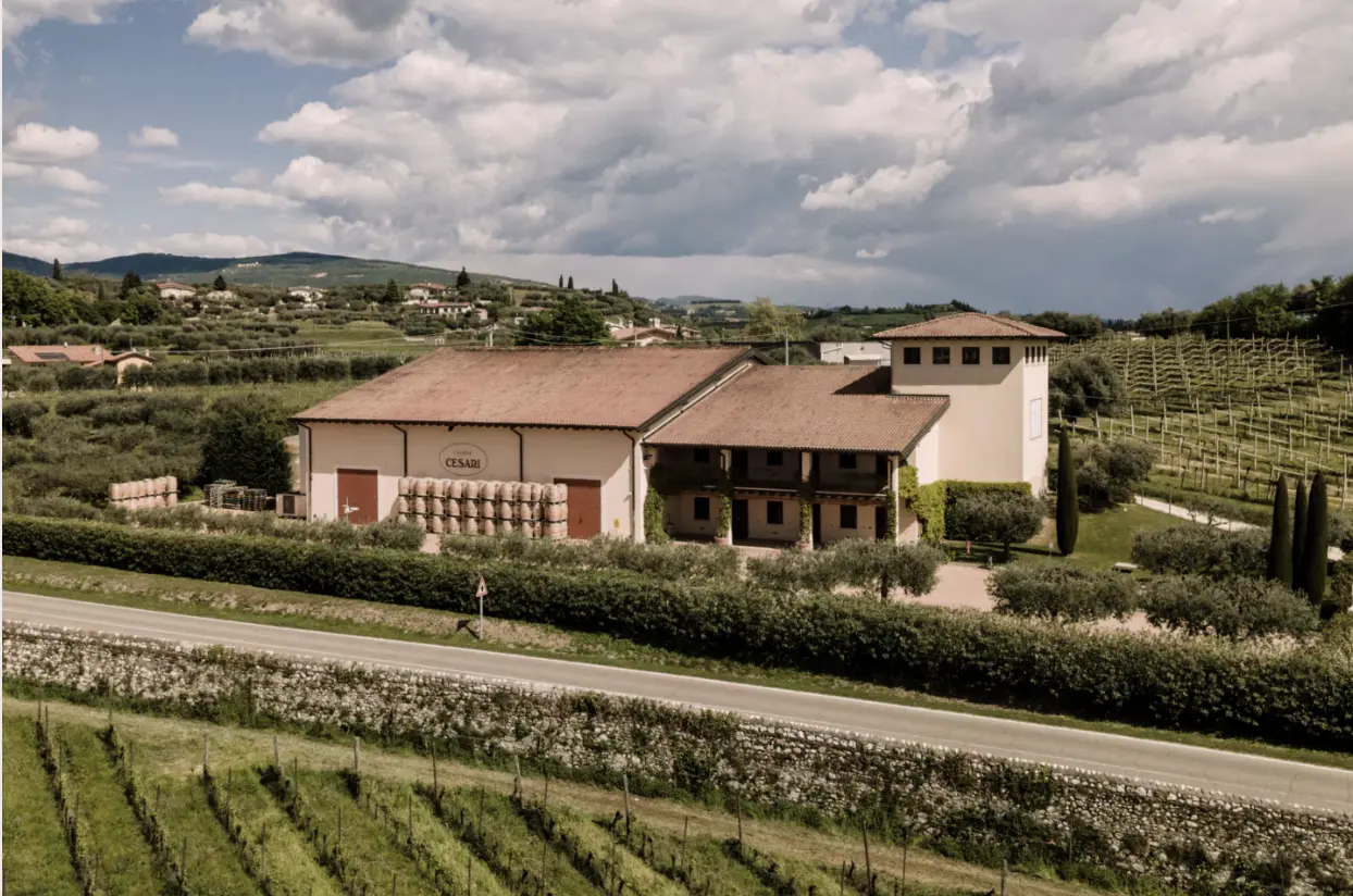 Cesari Bosan Valpolicella DOC Classico Superi 2022