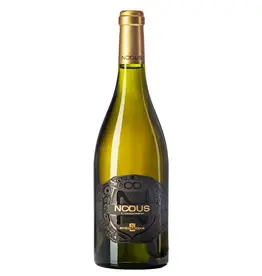 Bodegas Nodus Chardonnay 2025