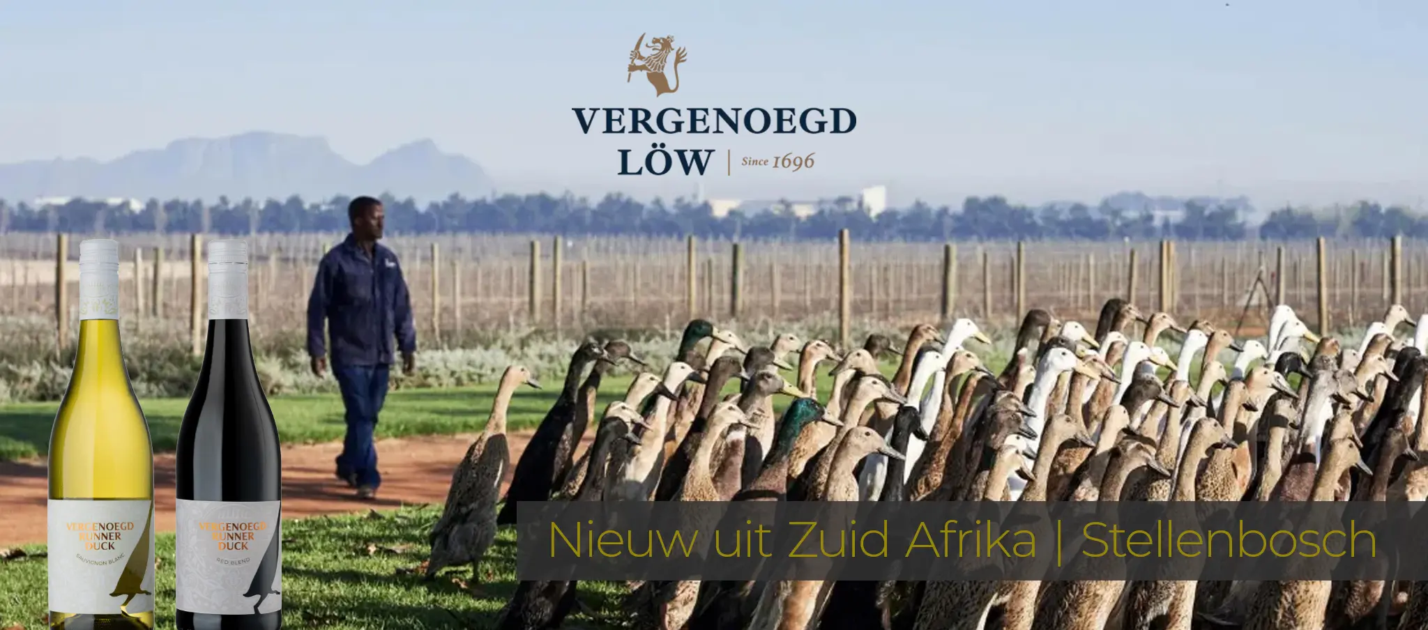 Nieuw Zuid Afrika