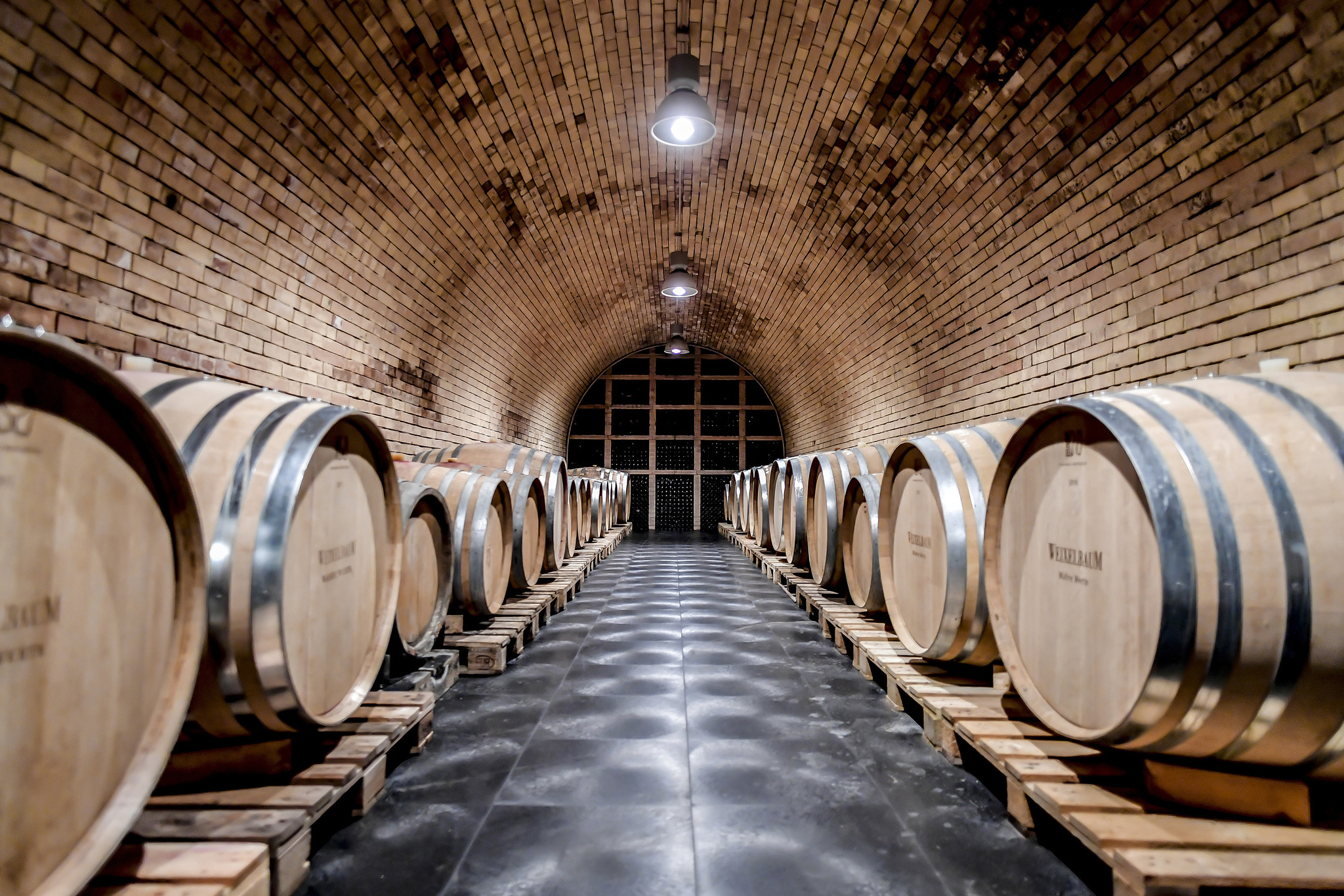 Weingut Weixelbaum White Dreams - Kamptal DAC 2025