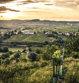 Weingut Weixelbaum White Dreams - Kamptal DAC 2025