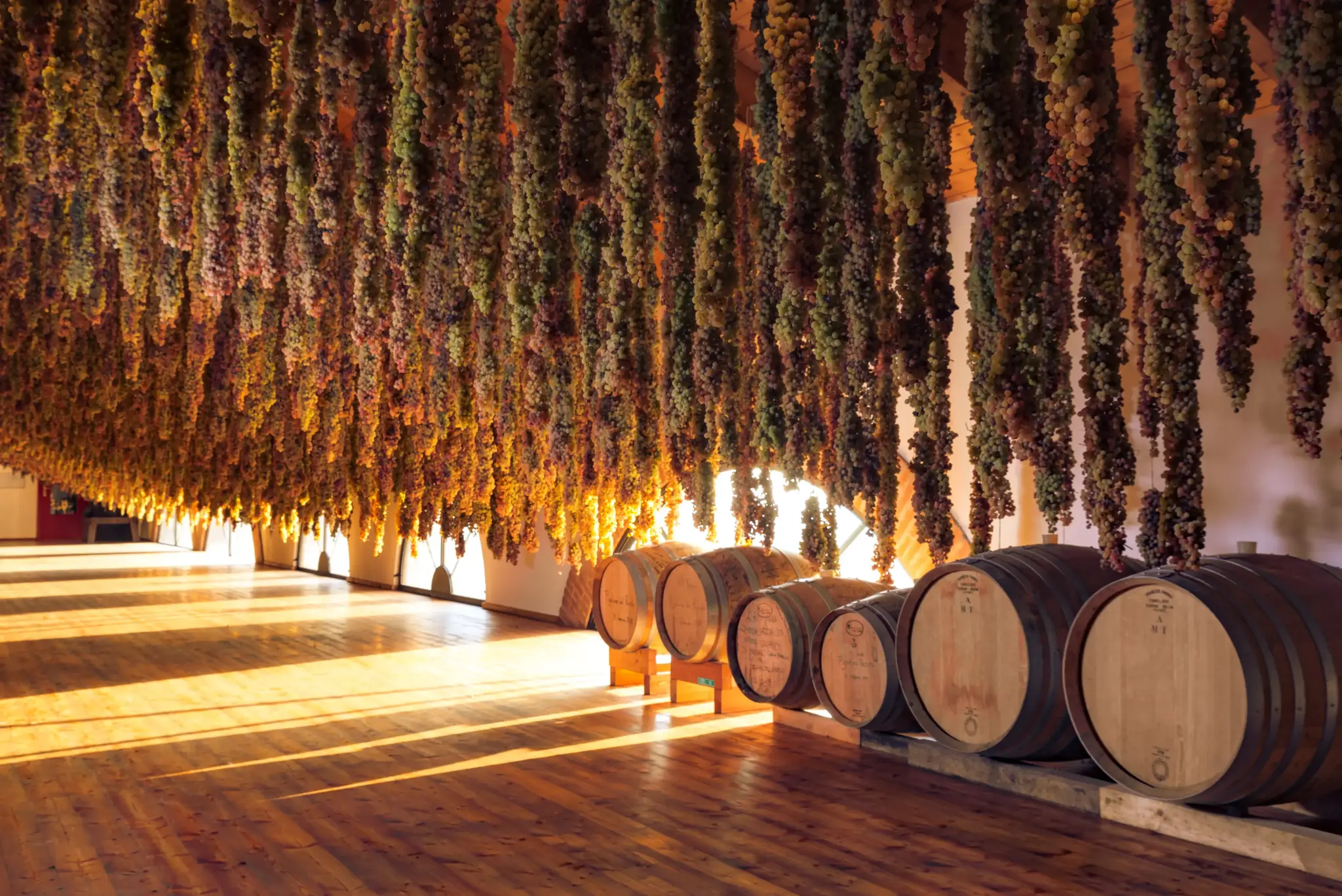 Cavazza Capitel Recioto di Gambellara Classico DOCG 2023