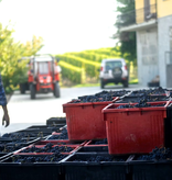 Emilio Vada Dolcetto d'Alba DOC 2023