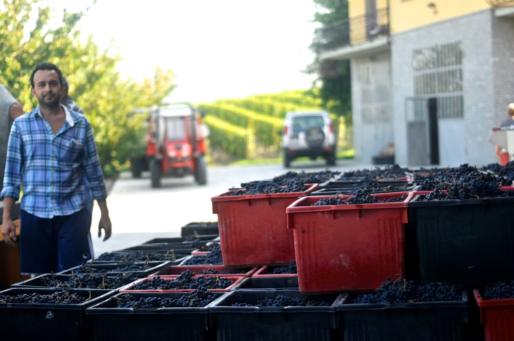 Emilio Vada Dolcetto d'Alba DOC 2023