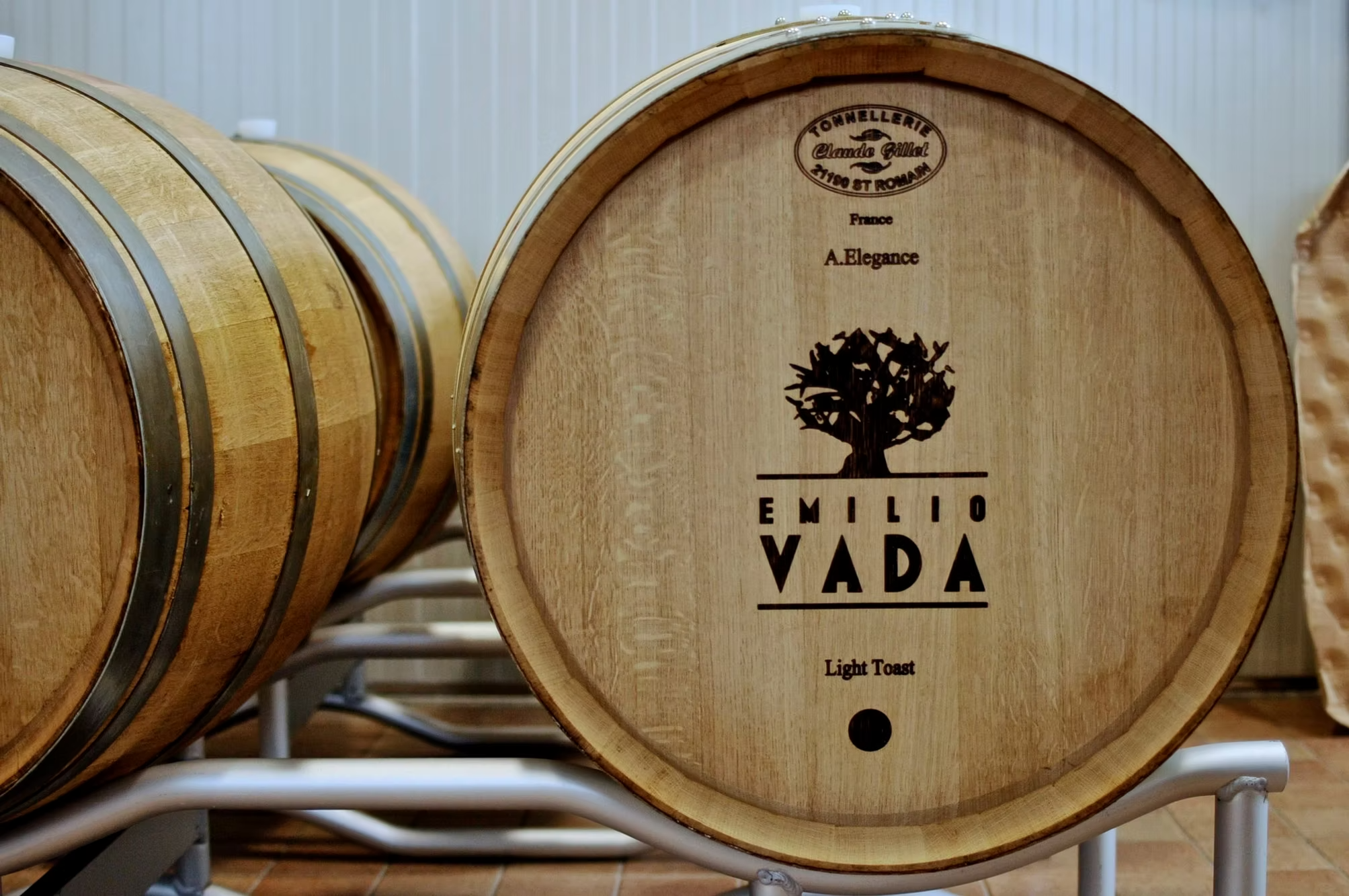 Emilio Vada Ansii Barbera d'Asti Superiore DOCG 2022