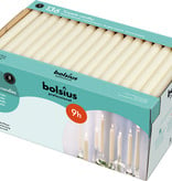 Bolsius Professional Dinerkerzen Elfenbein, 136er Box