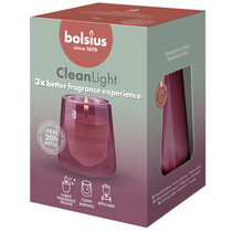 CleanLight Starterset - Cedarwood & Vetiver - dunkelrosa