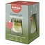Bolsius CleanLight starterkit - Houder en navulbare geurkaars in Gardenia & Fig