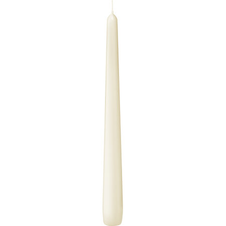 Bolsius Professional Gotische Kaars Ivoor, 100 stuks