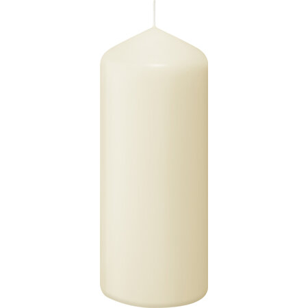 Bolsius Professional Stompkaars 170/68 Ivoor, 12 stuks