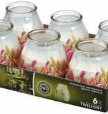 Bolsius Professional Twilight Tulpen, 6 Stück