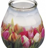 Bolsius Professional Twilight Tulpen, 6 Stück