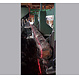 Delta Laser Industrial Line Laser red 170 mw 638 nm Class 3R, IP67 with powellens