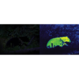 Seek Thermal Compact Android 206x156 pixels  MICRO USB