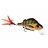 westin percy the perch crankbait