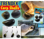 elite carp shells mossels elite carp shells mossels