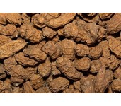 tigernuts tijgernoten xxl tigernuts tijgernoten xxl