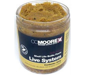 ccmoore live system paste