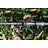 free spirit s-lite carp rod