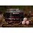 ccmoore pacific tuna pink pop-ups