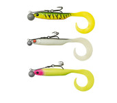 madcat ready to fish shad madcat ready to fish shad