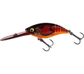 westin buzzbite dr westin buzzbite dr