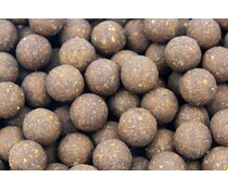 cuyten  insecticons boilies **20kg BULK**