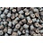 cuyten  insecticons pellets