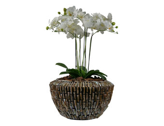 Schelpvaas Ronde Pot 45 cm