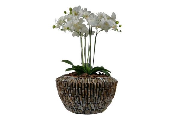 Schelpvaas Ronde Pot 45 cm