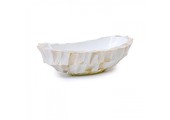 Bowl Mother of Pearl L46 B20 H13 cm - Creme - Schelpenvaas