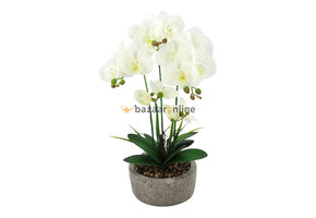 Pot - Orchidee - Wit - Cambria
